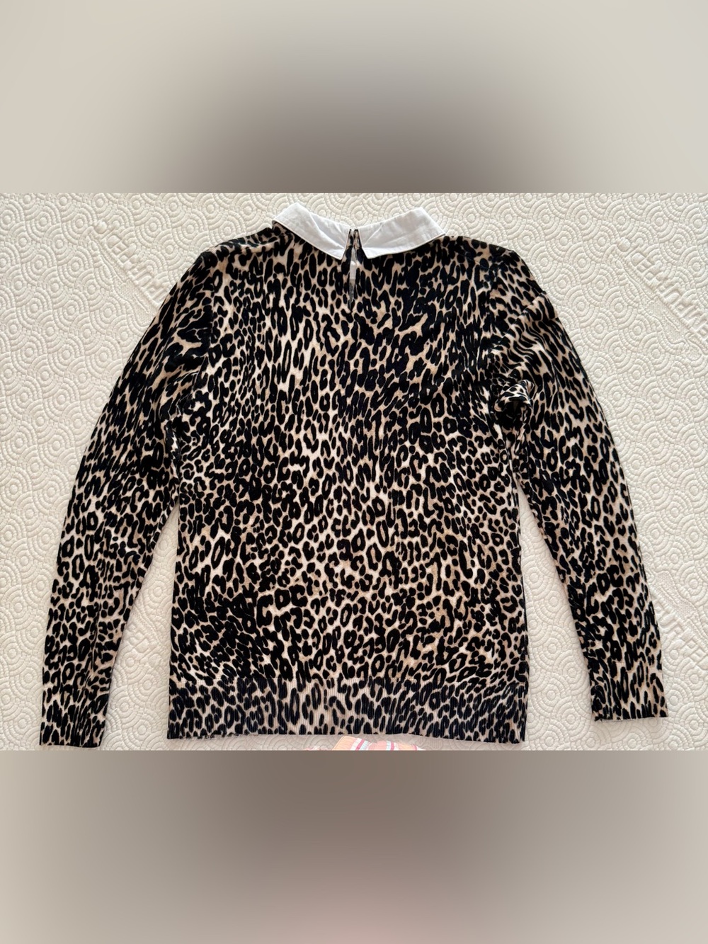 Cable & Gauge Leopard Sweater Top w/ White Cotton Collar Black Cream Ladies Med - Picture 6 of 12